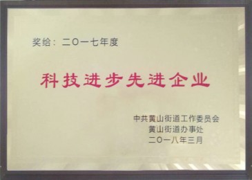 科技进步先进企业